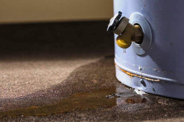  Union City, OH Water damage restoration Pros