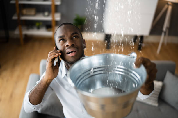 Best Water damage cleanup near me  in Union City, OH