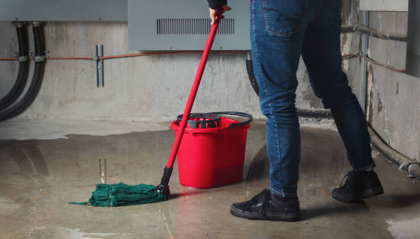 Best Flooded house restoration  in Union City, OH