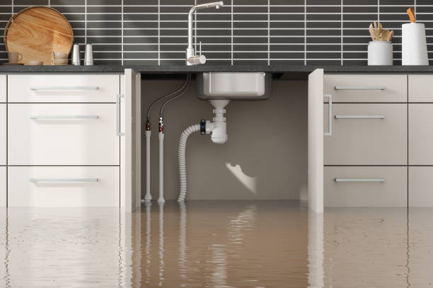 Best Commercial water damage restoration  in Union City, OH