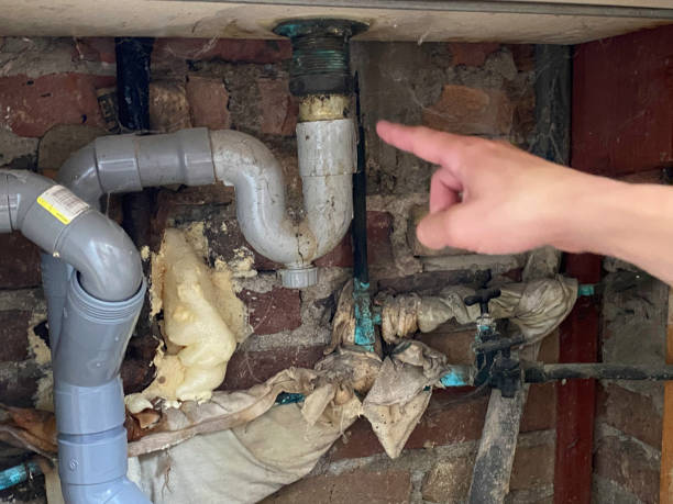 Best Water damage restoration cost  in Union City, OH