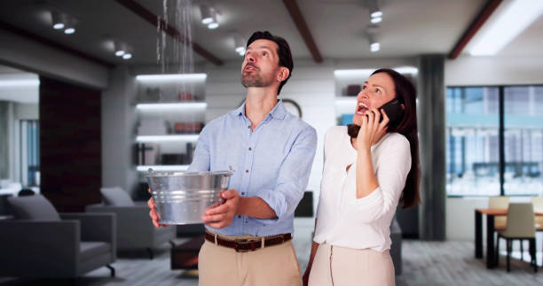 Best Carpet water damage restoration  in Union City, OH