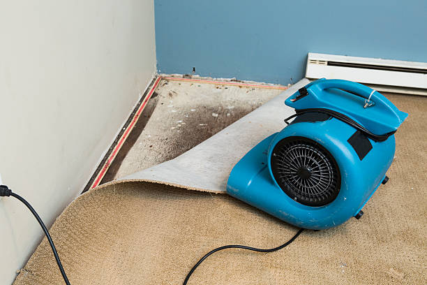  Union City, OH Water damage restoration Pros